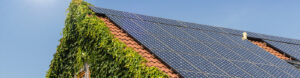 Read more about the article Zonnepanelen reinigen: zin of onzin?